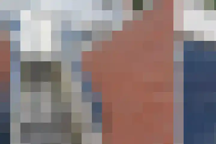 Berliozrode 17 Zoetermeer thumbnail 43