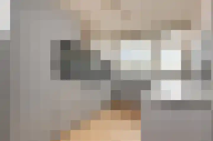 Berliozrode 17 Zoetermeer thumbnail 8