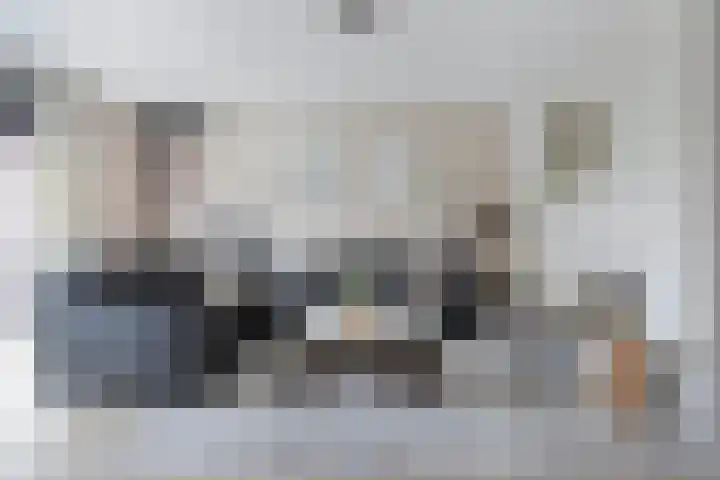 Berltsumer Wiid 27 Franeker thumbnail 12