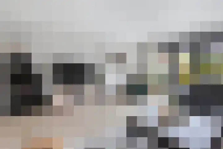 Berltsumer Wiid 27 Franeker thumbnail 13