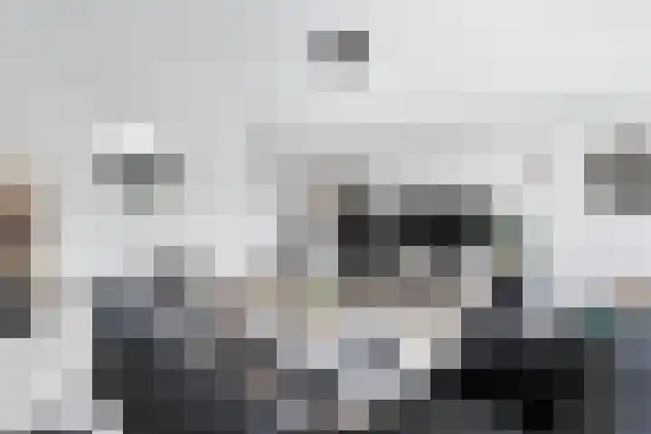 Berltsumer Wiid 27 Franeker thumbnail 15