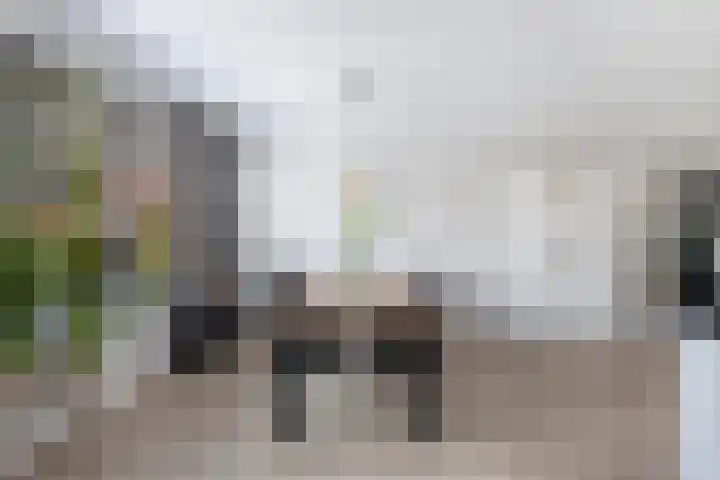 Berltsumer Wiid 27 Franeker thumbnail 19