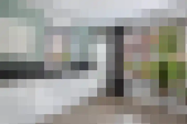 Berltsumer Wiid 27 Franeker thumbnail 23