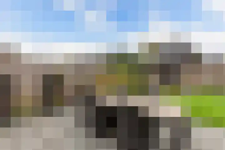 Berltsumer Wiid 27 Franeker thumbnail 26