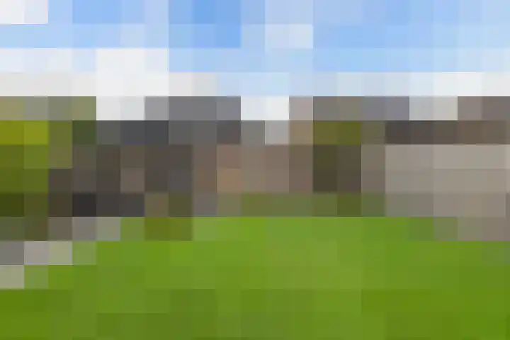 Berltsumer Wiid 27 Franeker thumbnail 27