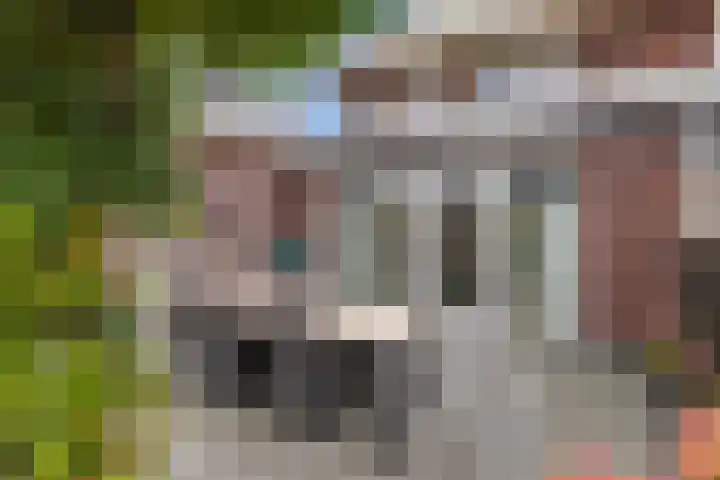 Berltsumer Wiid 27 Franeker thumbnail 30
