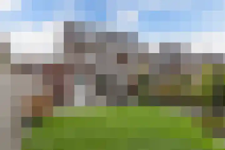 Berltsumer Wiid 27 Franeker thumbnail 31