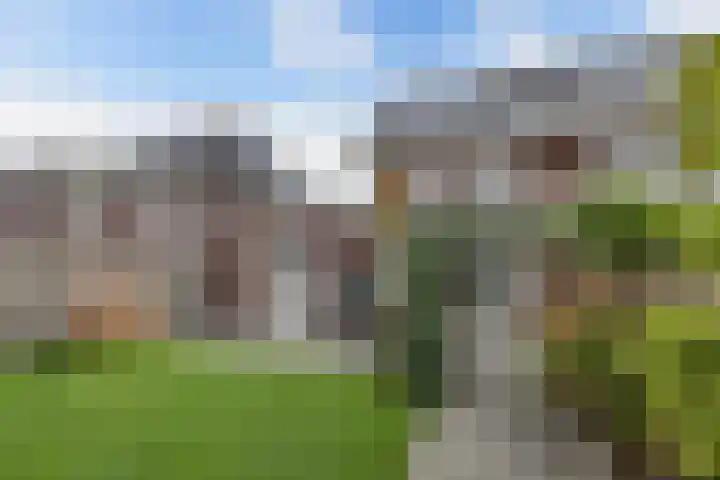 Berltsumer Wiid 27 Franeker thumbnail 33