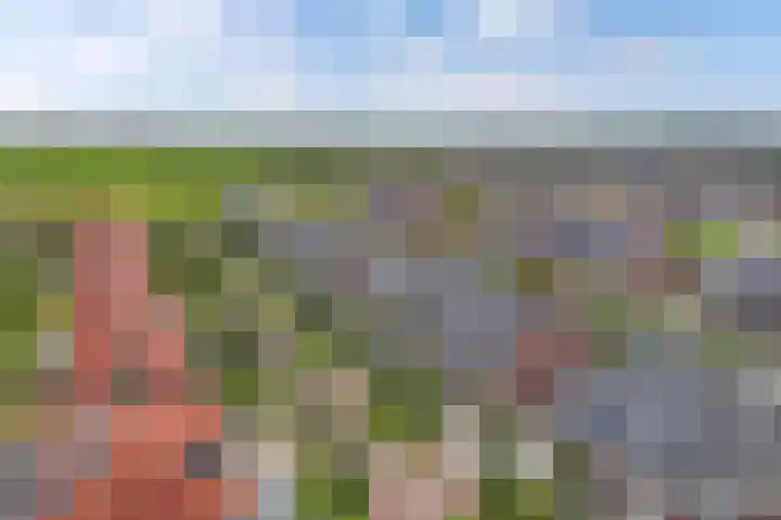Berltsumer Wiid 27 Franeker thumbnail 4