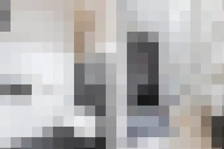 Berltsumer Wiid 27 Franeker thumbnail 7
