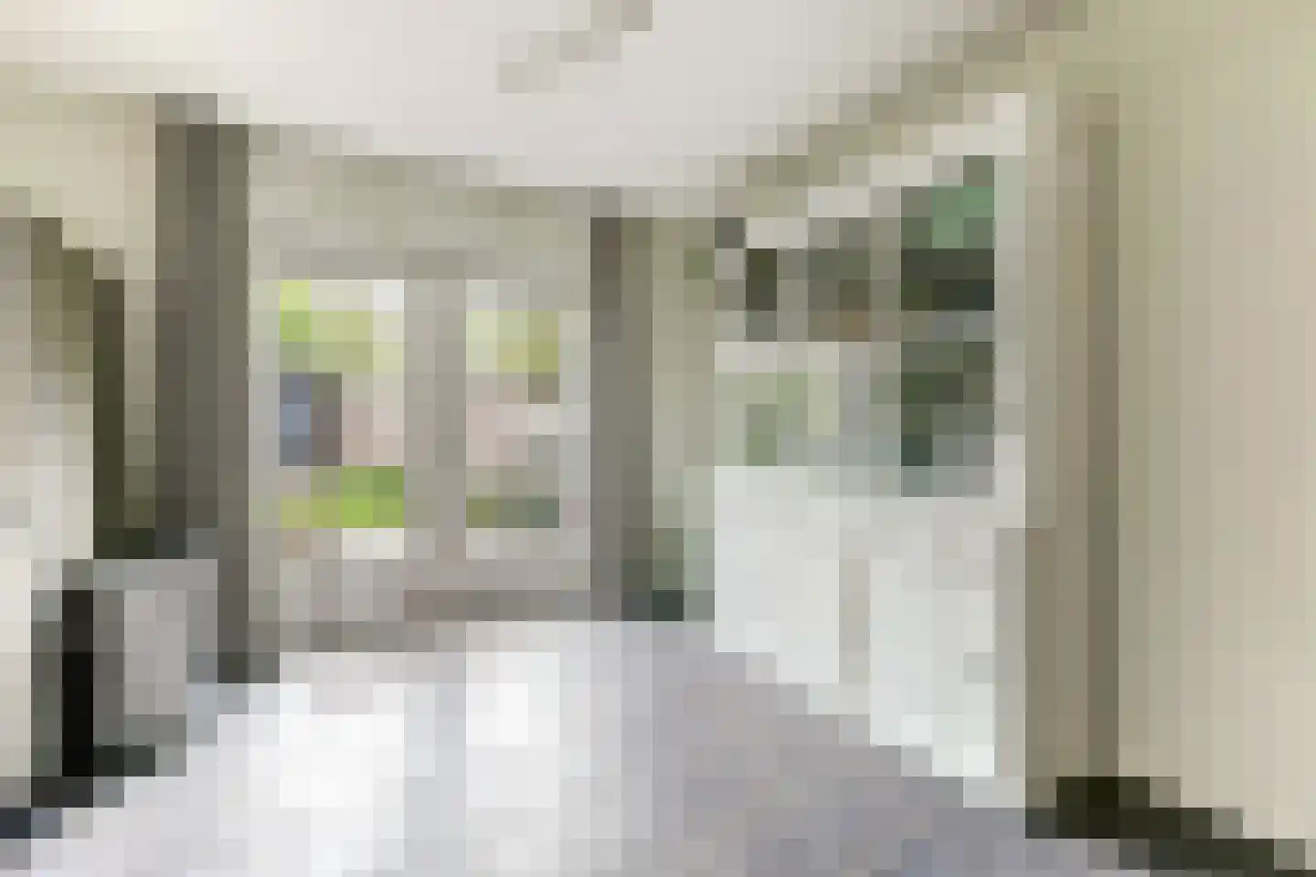 Berm 1 Kerkdriel thumbnail 19