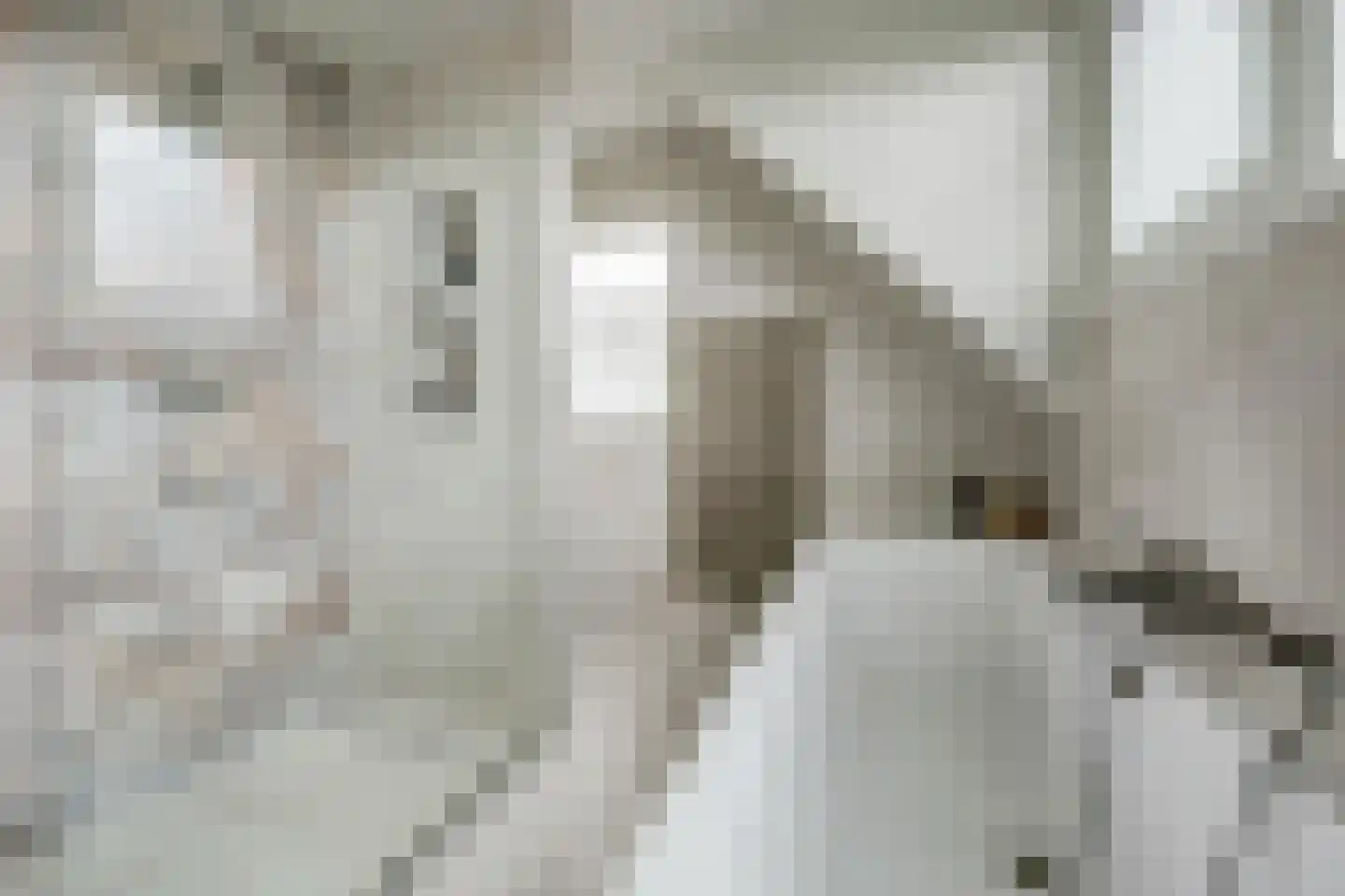 Berm 1 Kerkdriel thumbnail 33