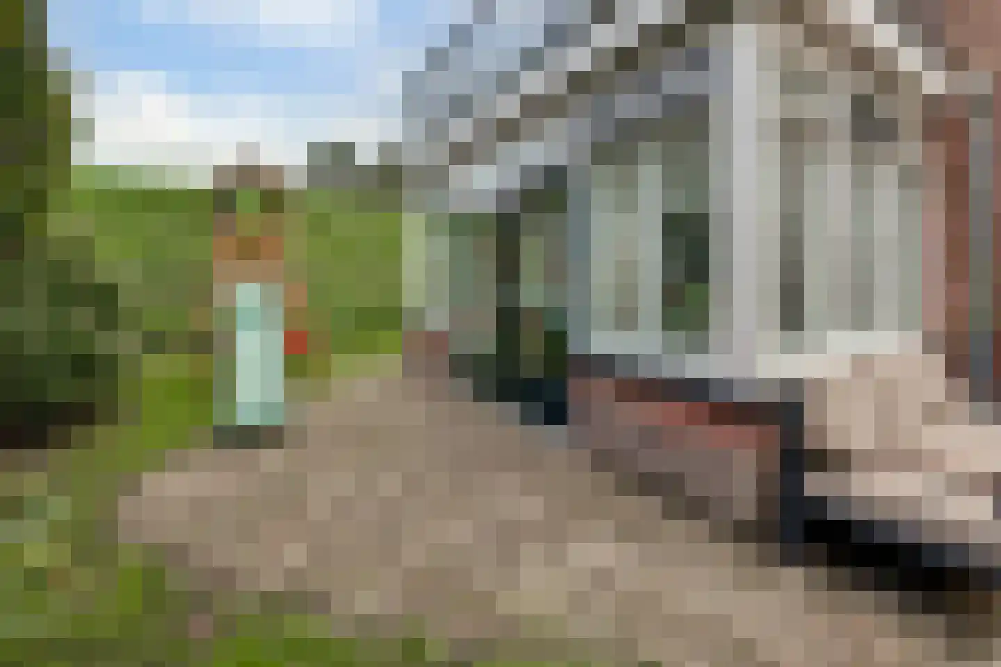 Berm 1 Kerkdriel thumbnail 37