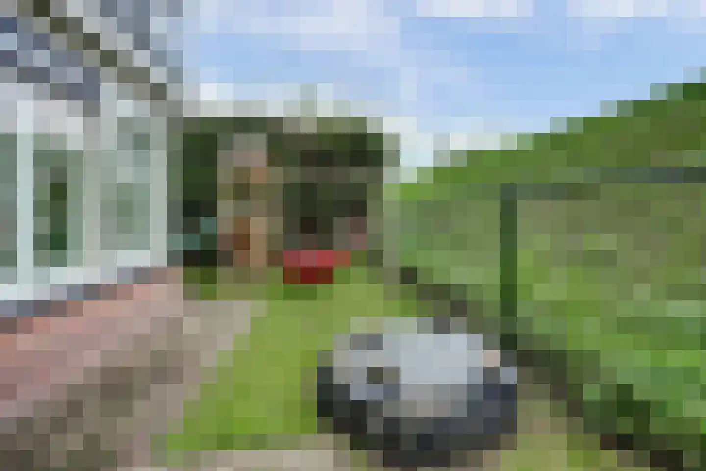 Berm 1 Kerkdriel thumbnail 41