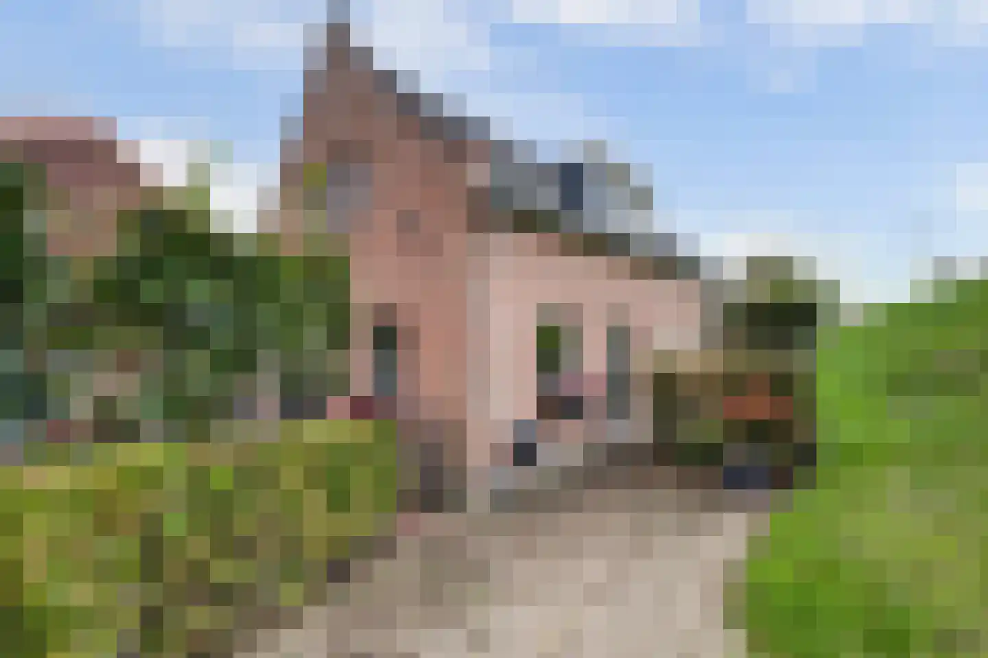 Berm 1 Kerkdriel thumbnail 44