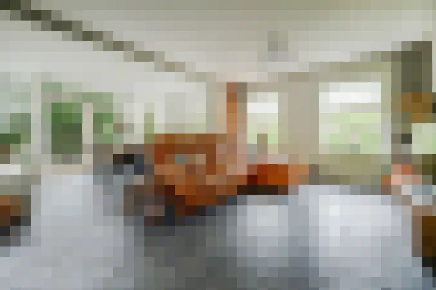 Berm 1 Kerkdriel thumbnail 9