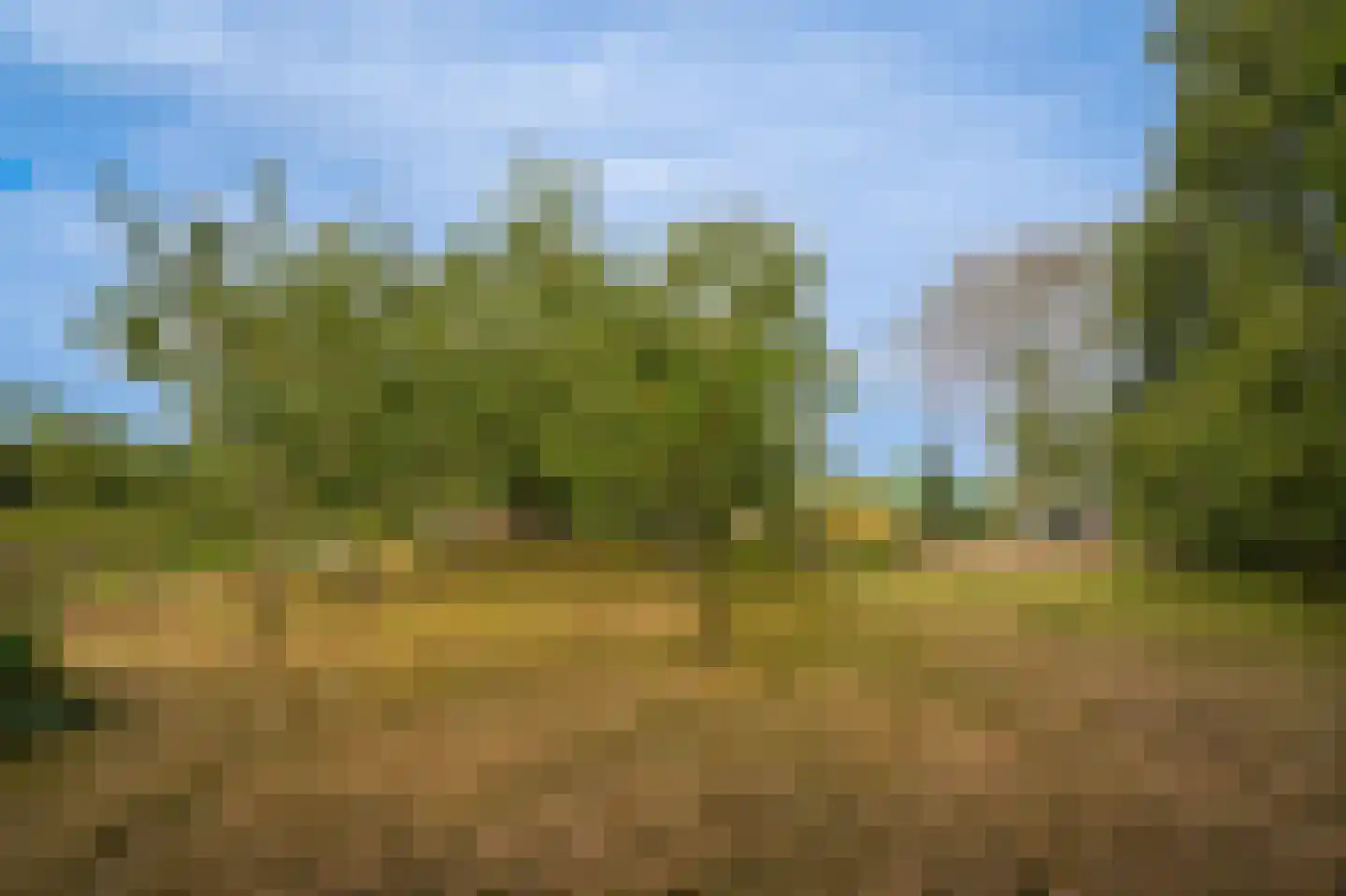 Berm 45 Kerkdriel thumbnail 35