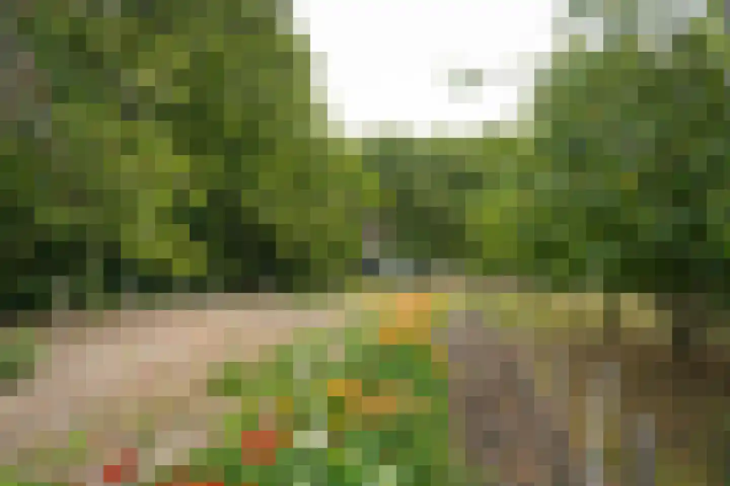 Berm 45 Kerkdriel thumbnail 38