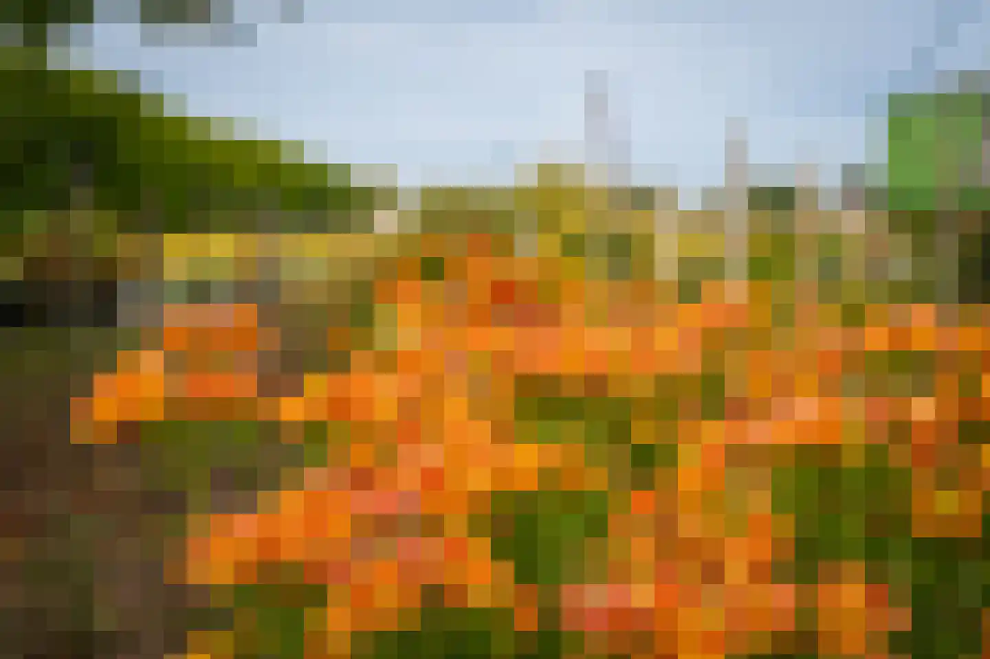 Berm 45 Kerkdriel thumbnail 39