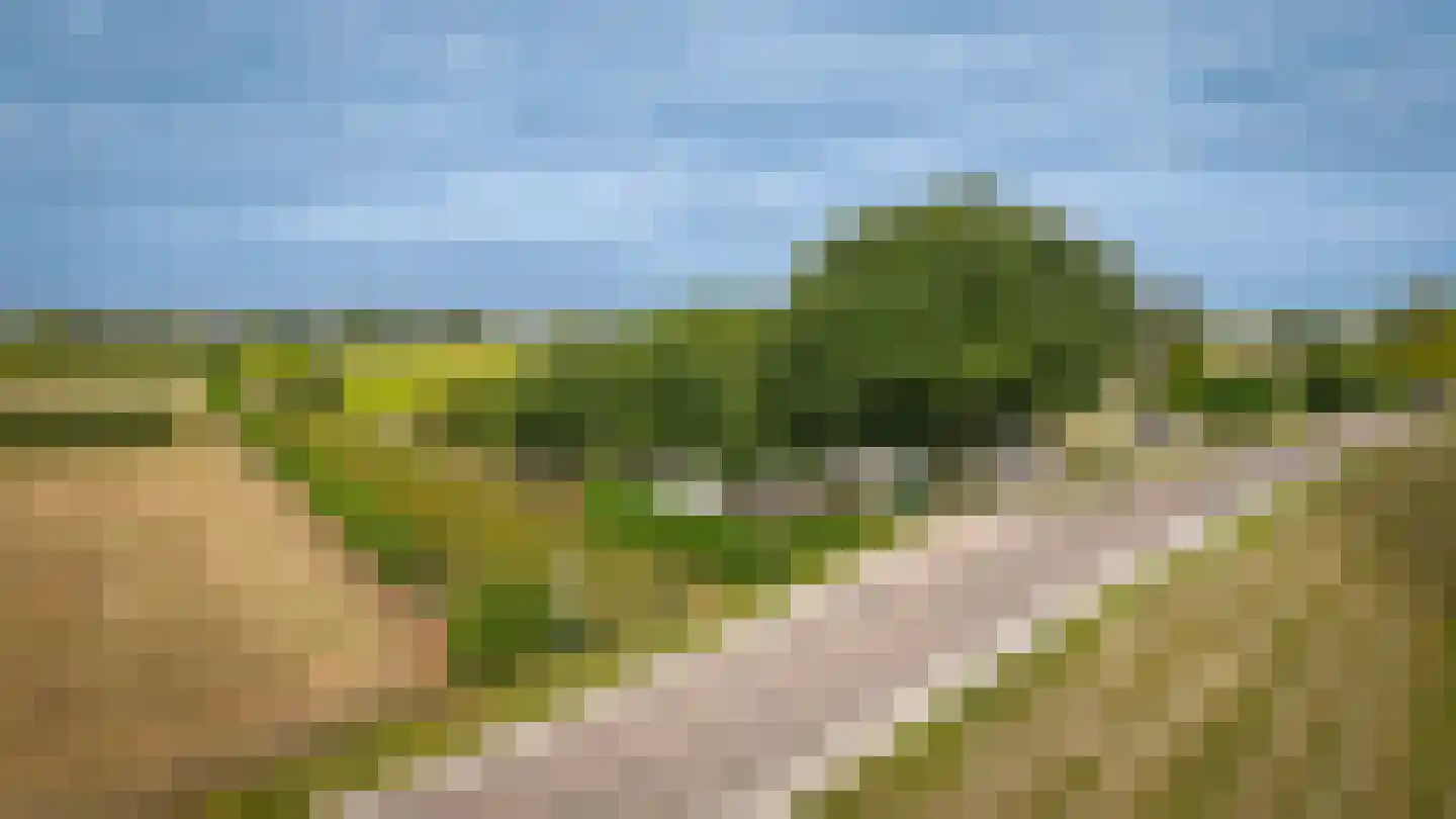 Berm 45 Kerkdriel thumbnail 4