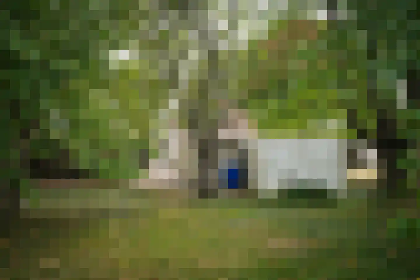 Berm 45 Kerkdriel thumbnail 40