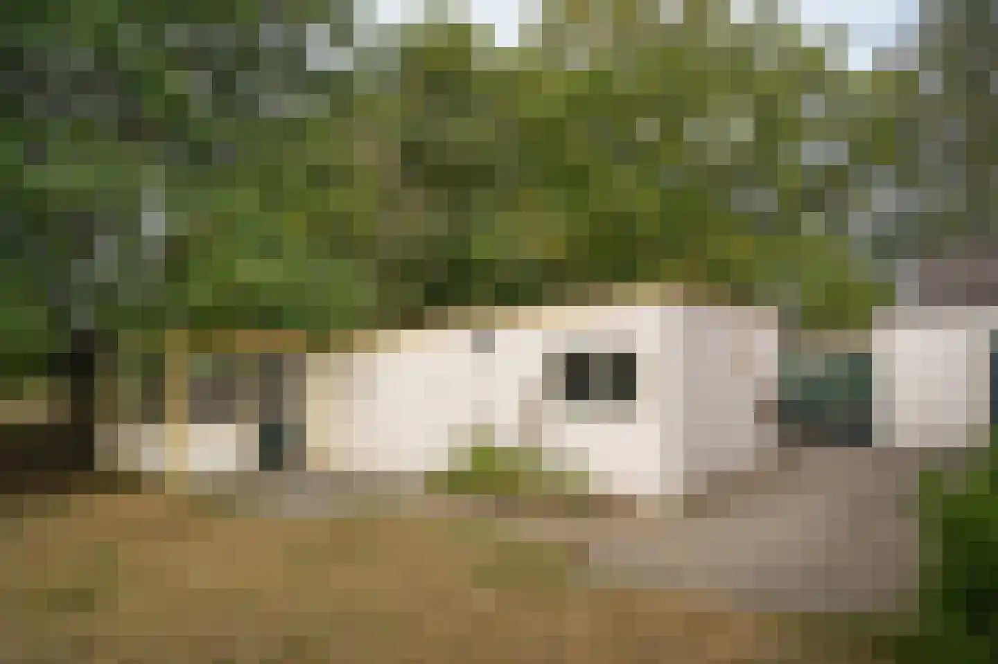 Berm 45 Kerkdriel thumbnail 44