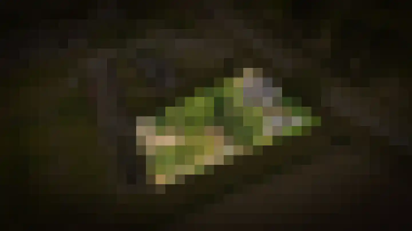Berm 45 Kerkdriel thumbnail 5