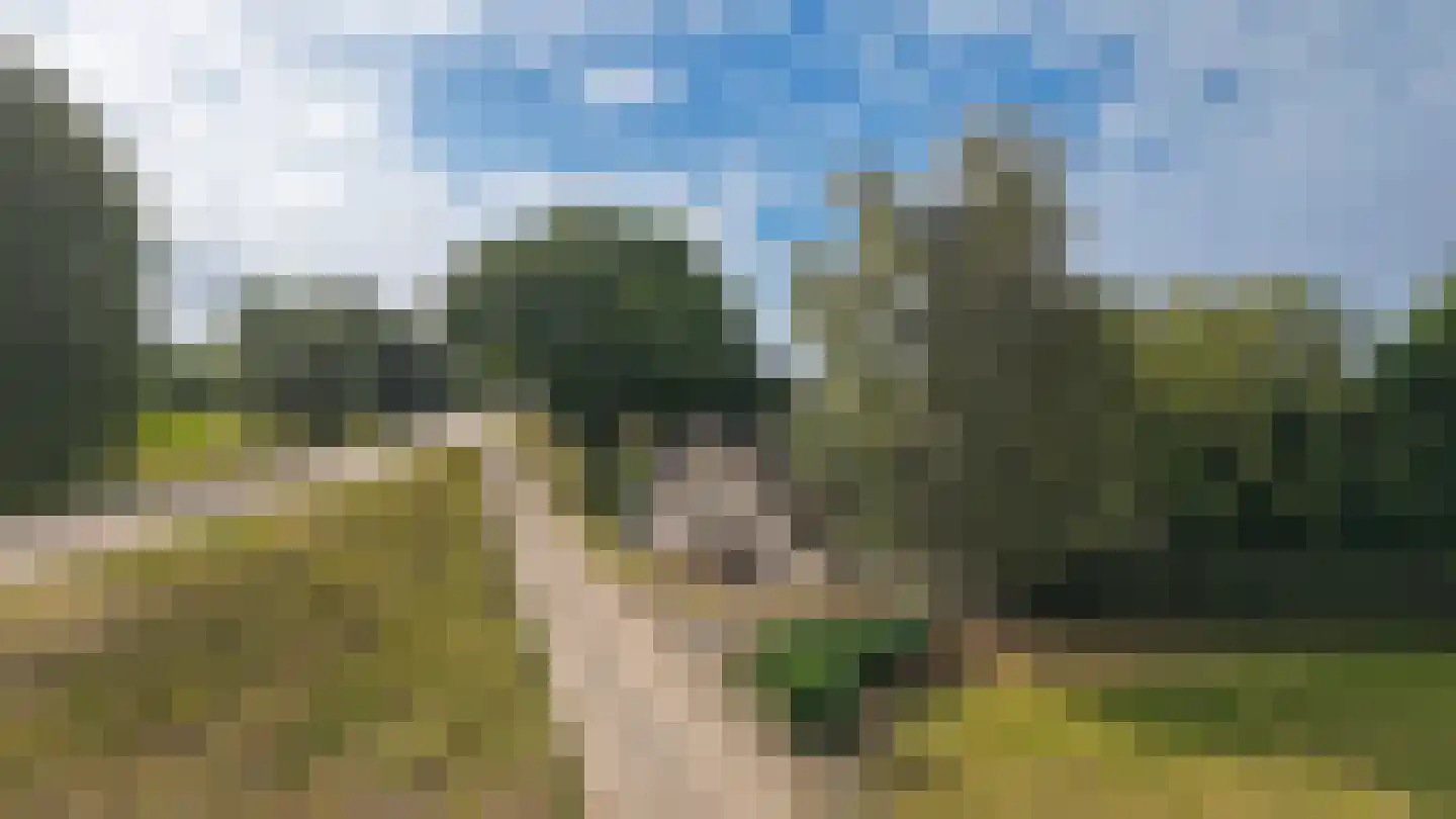 Berm 45 Kerkdriel thumbnail 6