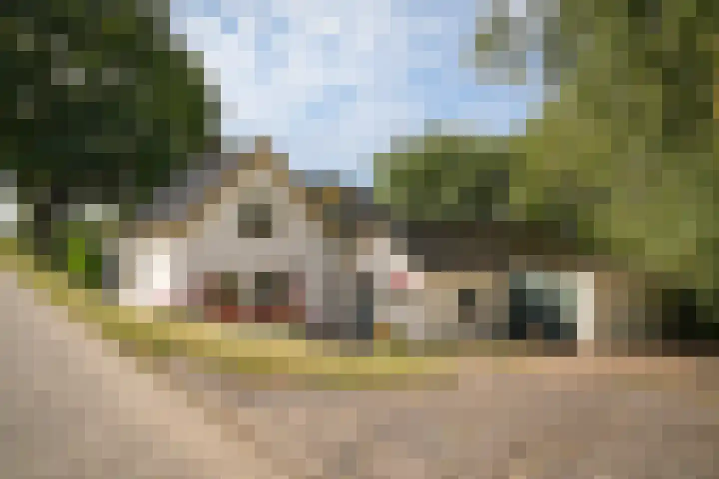 Berm 45 Kerkdriel thumbnail 8