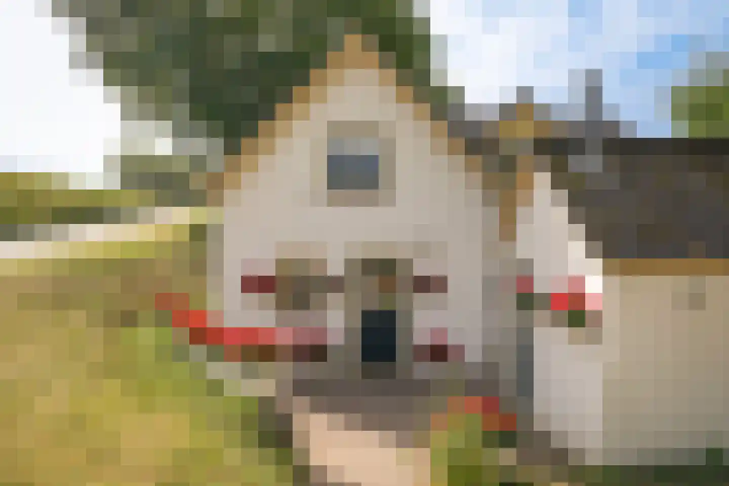 Berm 45 Kerkdriel thumbnail 9