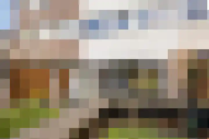 Bermershof 255 Uden thumbnail 22