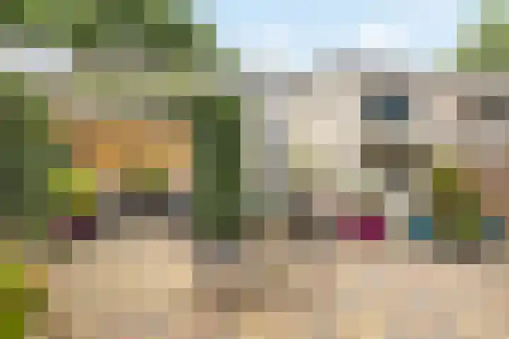 Bermershof 255 Uden thumbnail 29