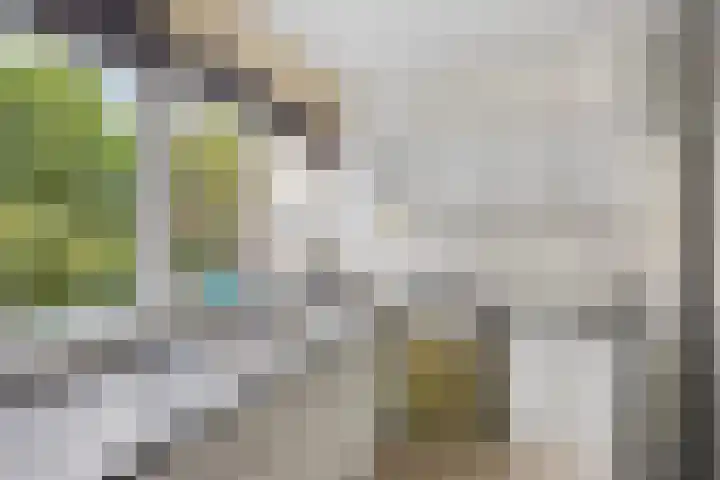 Bermershof 255 Uden thumbnail 7