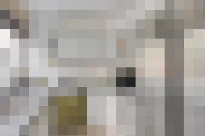 Bermershof 255 Uden thumbnail 8