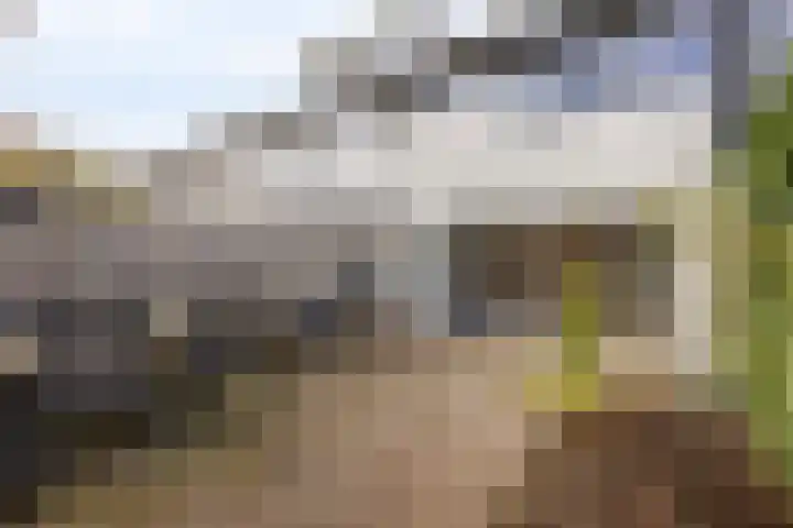 Bermershof 414 Uden thumbnail 25