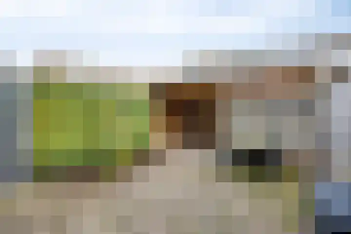 Bermershof 414 Uden thumbnail 26