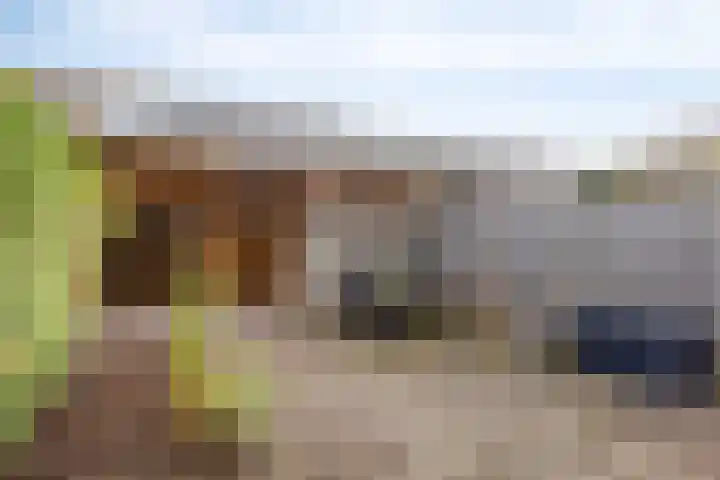 Bermershof 414 Uden thumbnail 4