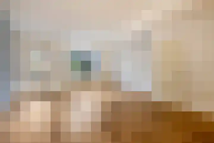 Bermershof 821 Uden thumbnail 13