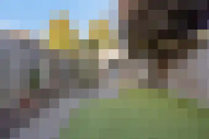 Bermershof 821 Uden thumbnail 29