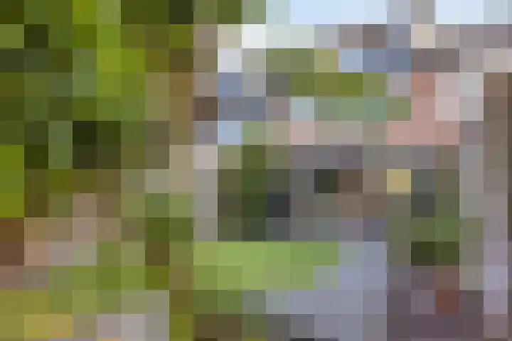 Bermershof 821 Uden thumbnail 31