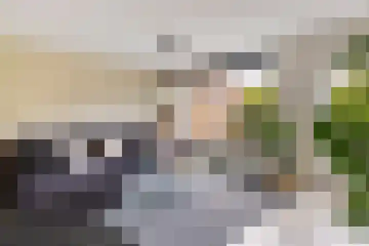 Bernadottestraat 21 Reeuwijk thumbnail 13