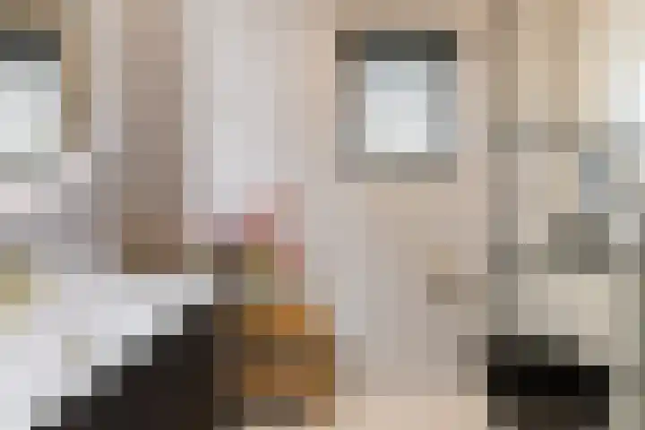 Bernadottestraat 21 Reeuwijk thumbnail 30