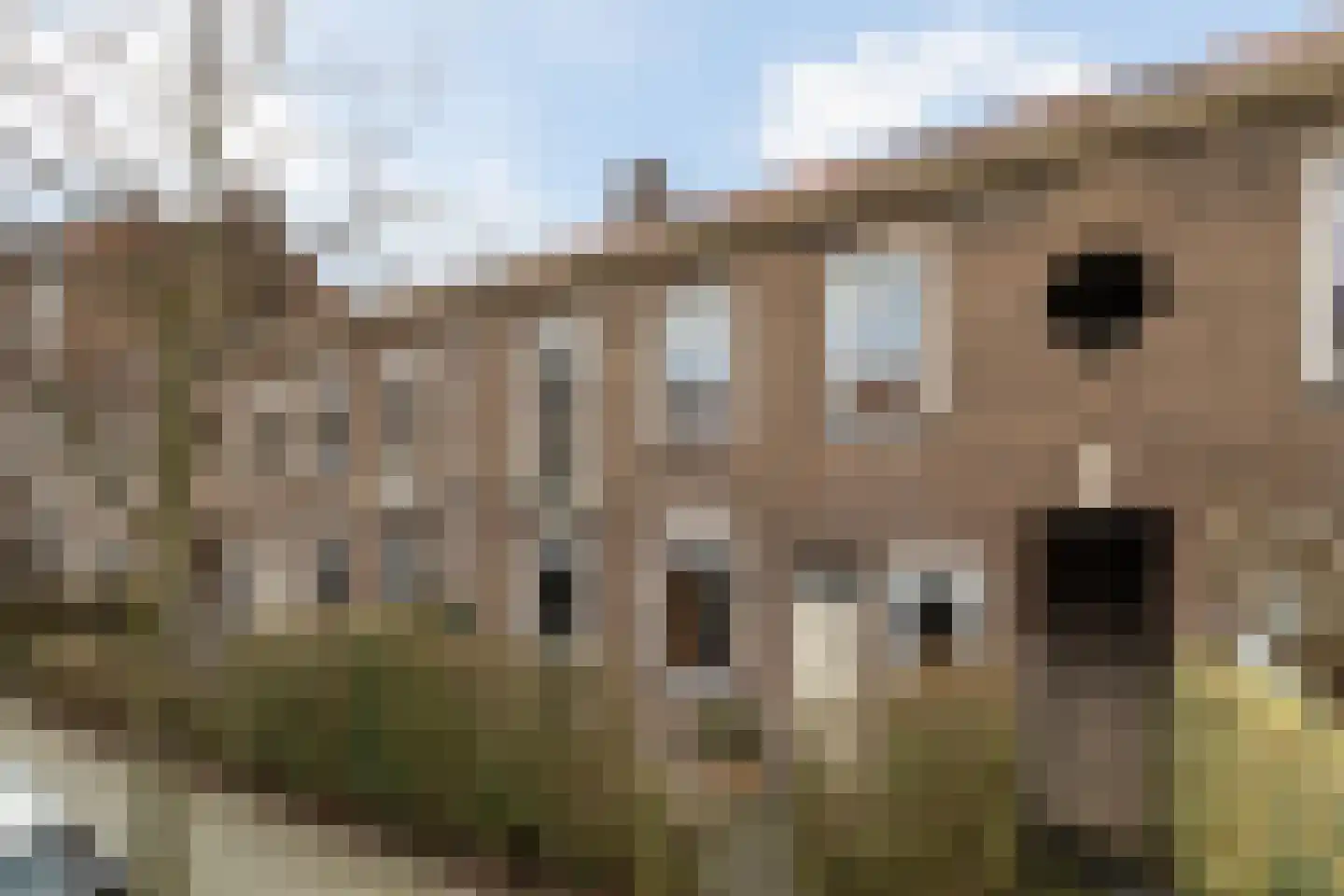 Bernardus Gewinstraat 3 A dans Rotterdam
