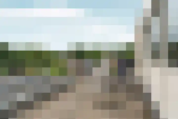 Bernhaldelaan 12 Ellecom thumbnail 33