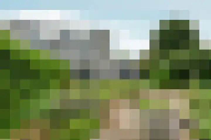 Bernhaldelaan 12 Ellecom thumbnail 36