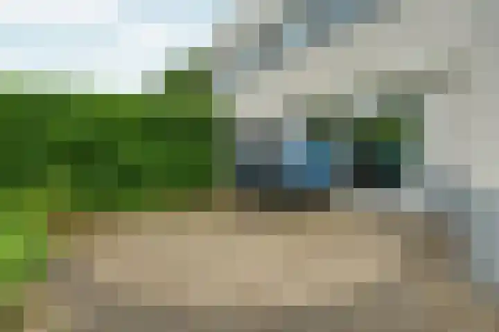 Bernhaldelaan 12 Ellecom thumbnail 39