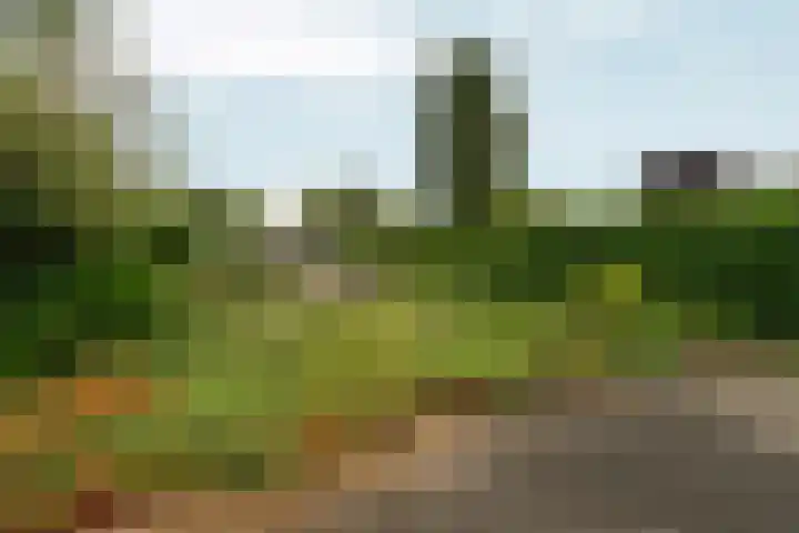 Bernhaldelaan 12 Ellecom thumbnail 41
