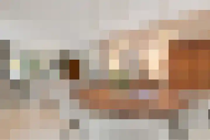 Bernhaldelaan 30 Ellecom thumbnail 18