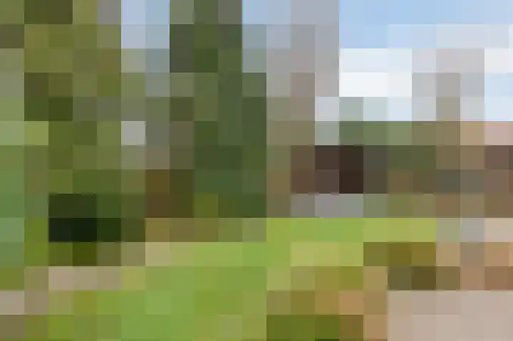 Bernhaldelaan 30 Ellecom thumbnail 47