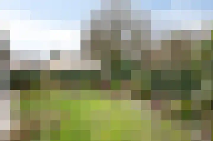 Bernhaldelaan 30 Ellecom thumbnail 48